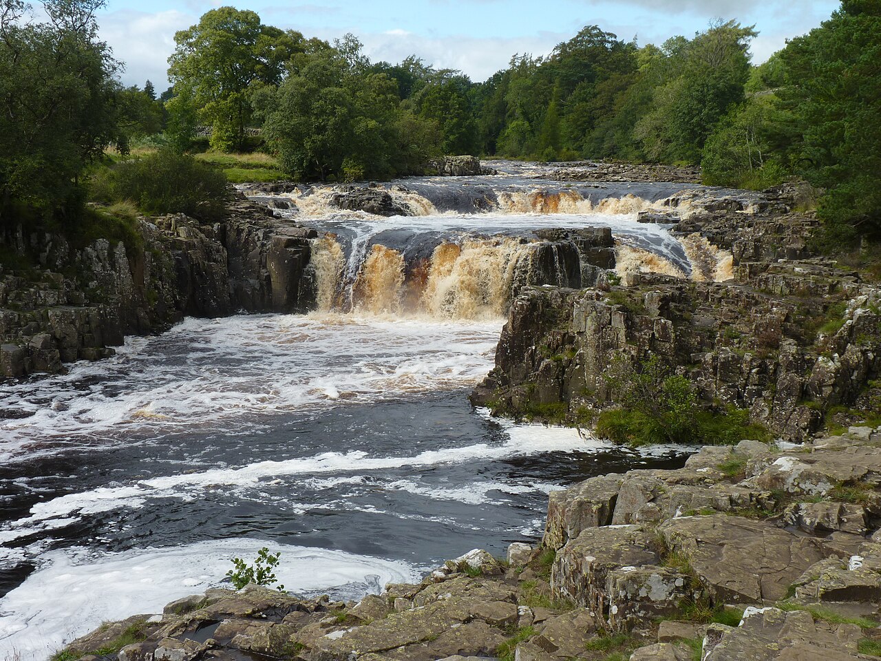Bowlees & Low Force